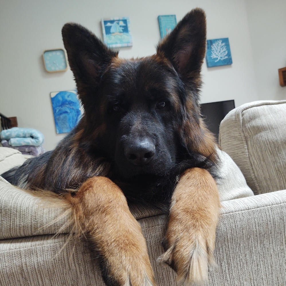 Meet your Posher, Lydia